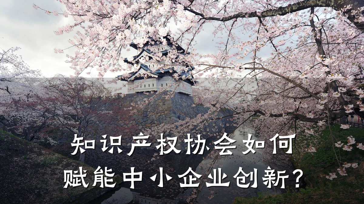知识产权协会如何赋能中小企业创新?