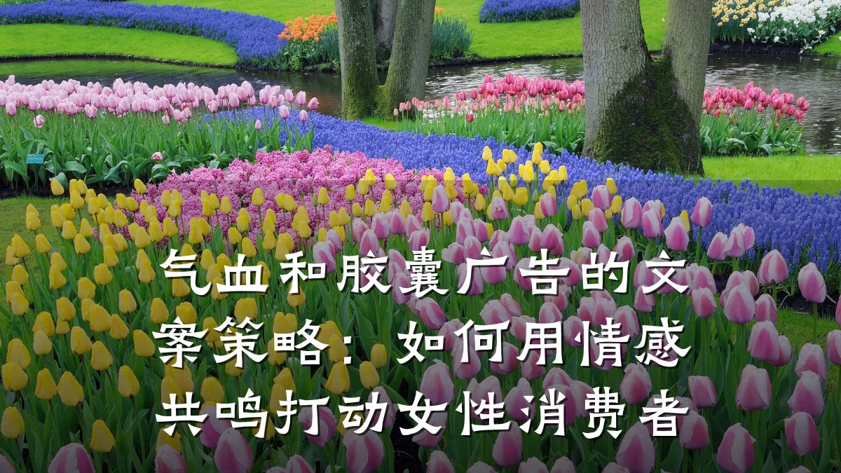 气血和胶囊广告的文案策略:如何用情感共鸣打动女性消费者