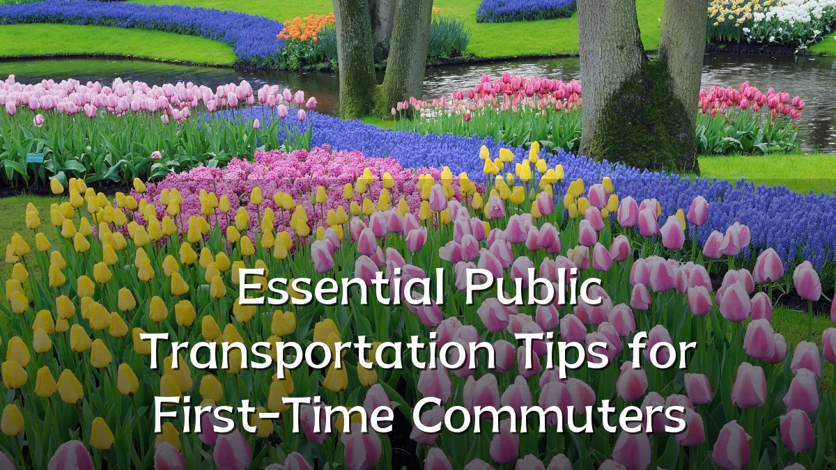 Essential Public Transportation Tips for First-Time Commuters