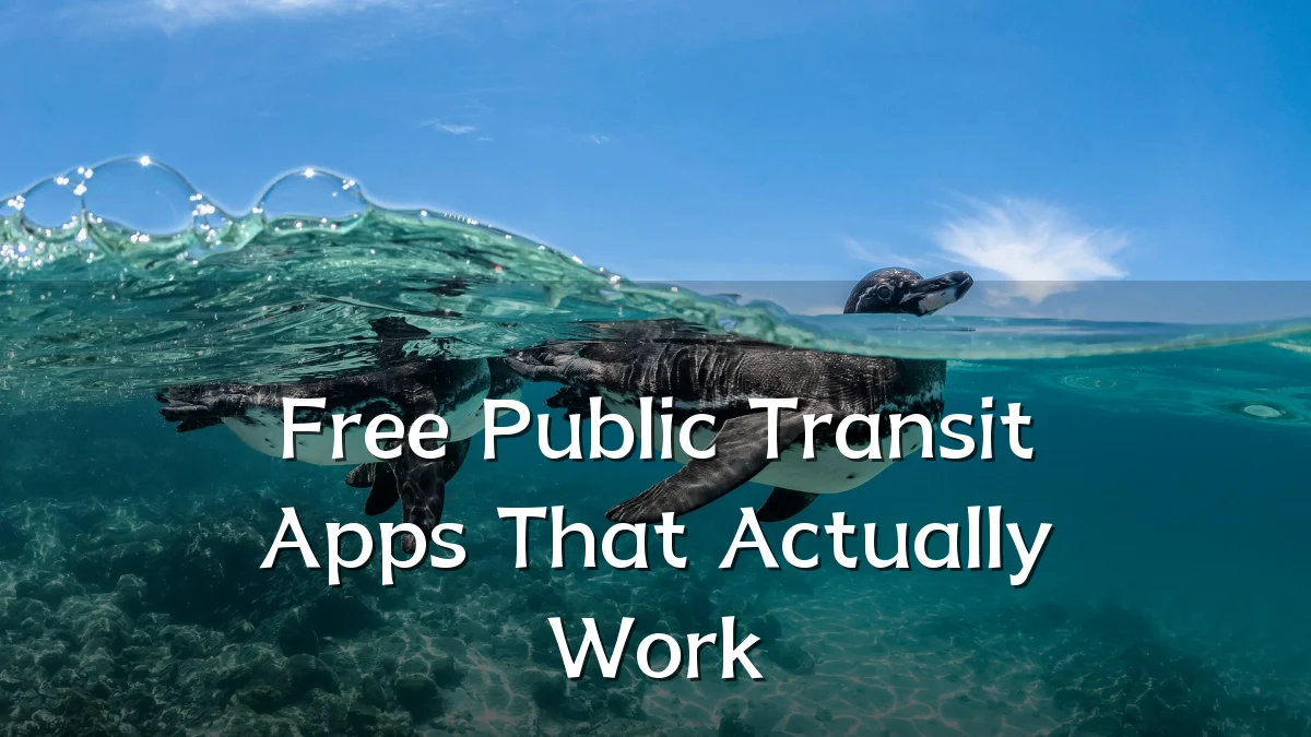 Free Public Transit Apps That Actually Work