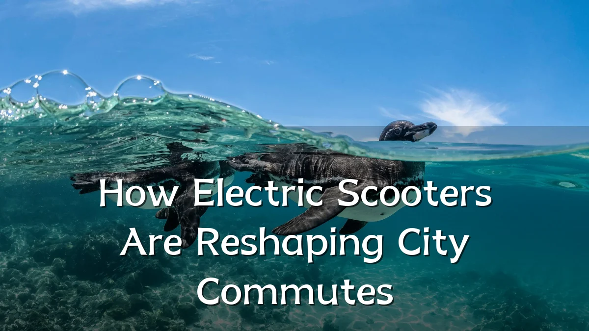 How Electric Scooters Are Reshaping City Commutes