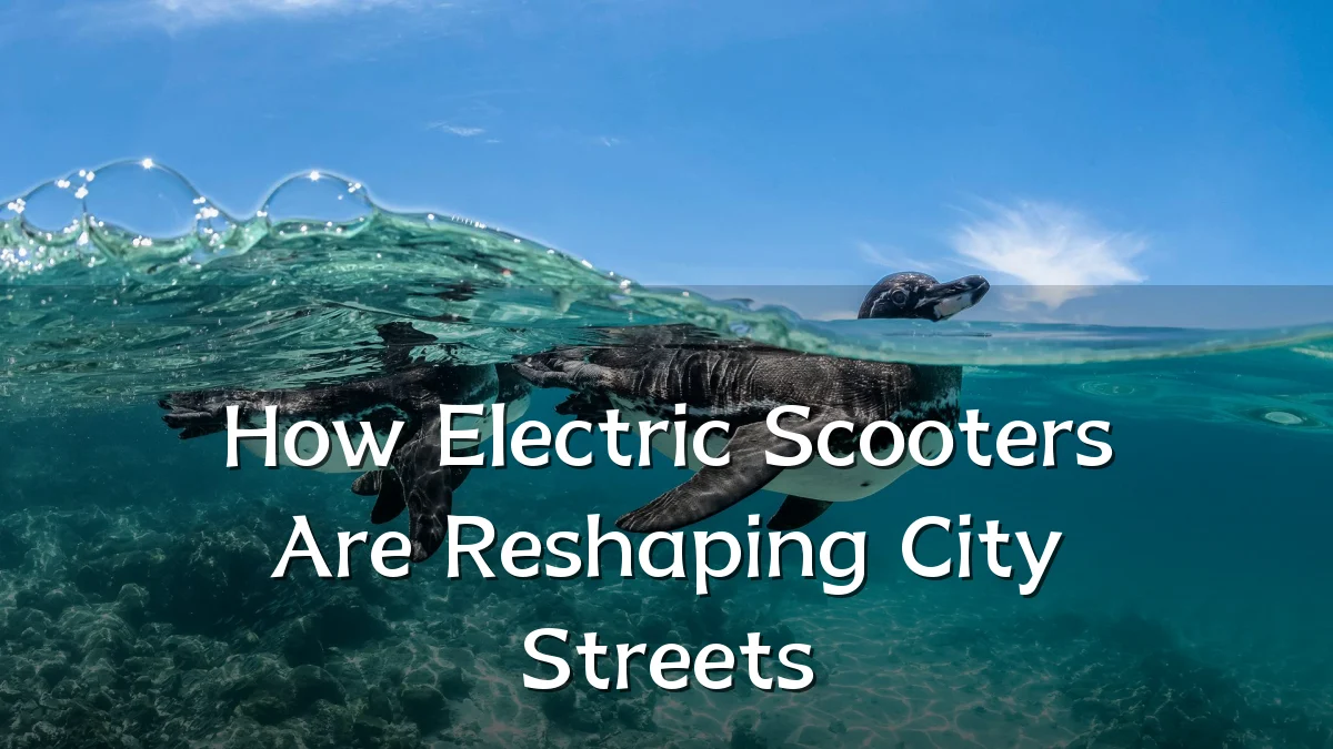 How Electric Scooters Are Reshaping City Streets