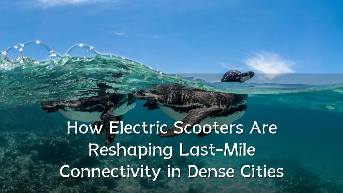 How Electric Scooters Are Reshaping Last-Mile Connectivity in Dense Cities