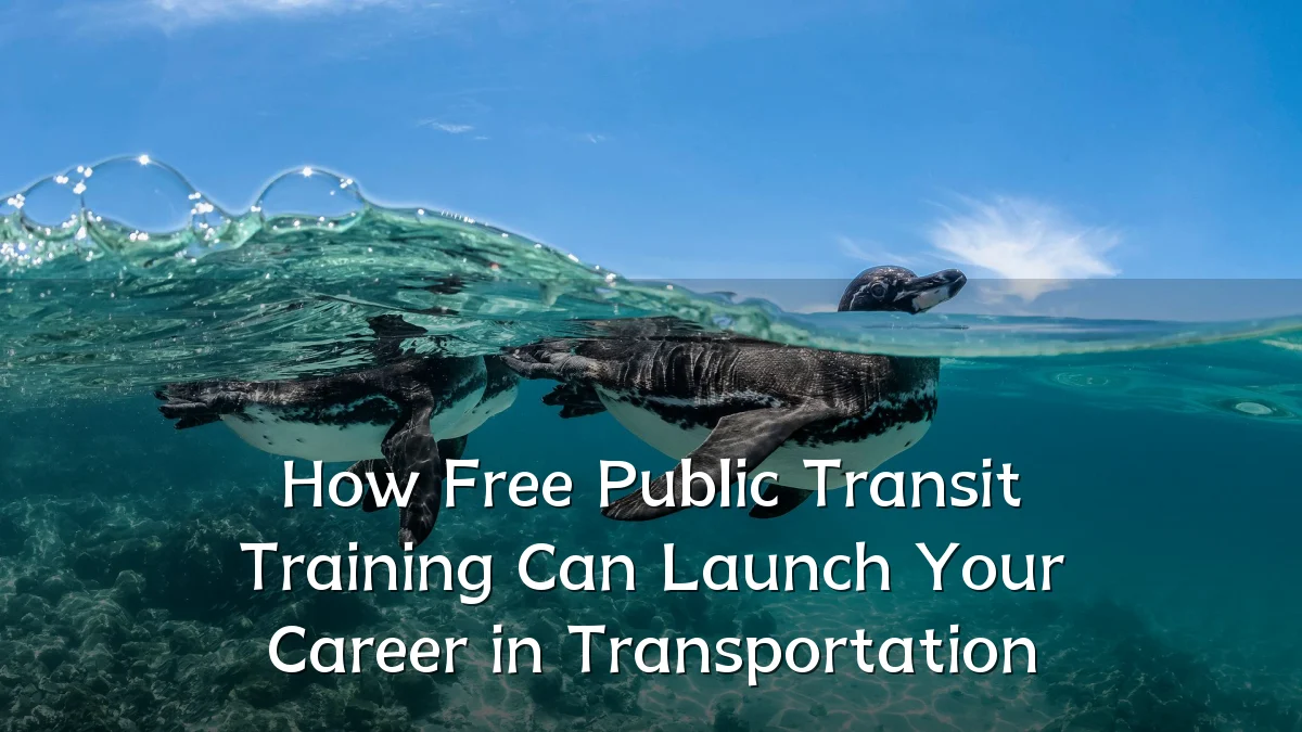 How Free Public Transit Training Can Launch Your Career in Transportation