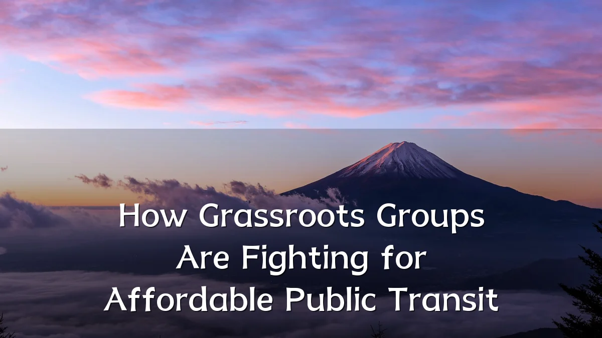 How Grassroots Groups Are Fighting for Affordable Public Transit