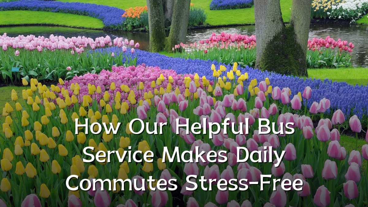How Our Helpful Bus Service Makes Daily Commutes Stress-Free