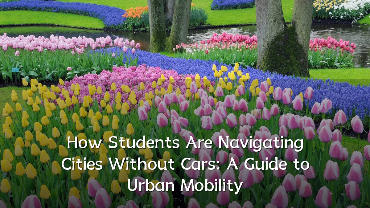 How Students Are Navigating Cities Without Cars: A Guide to Urban Mobility