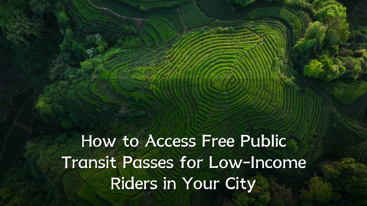 How to Access Free Public Transit Passes for Low-Income Riders in Your City