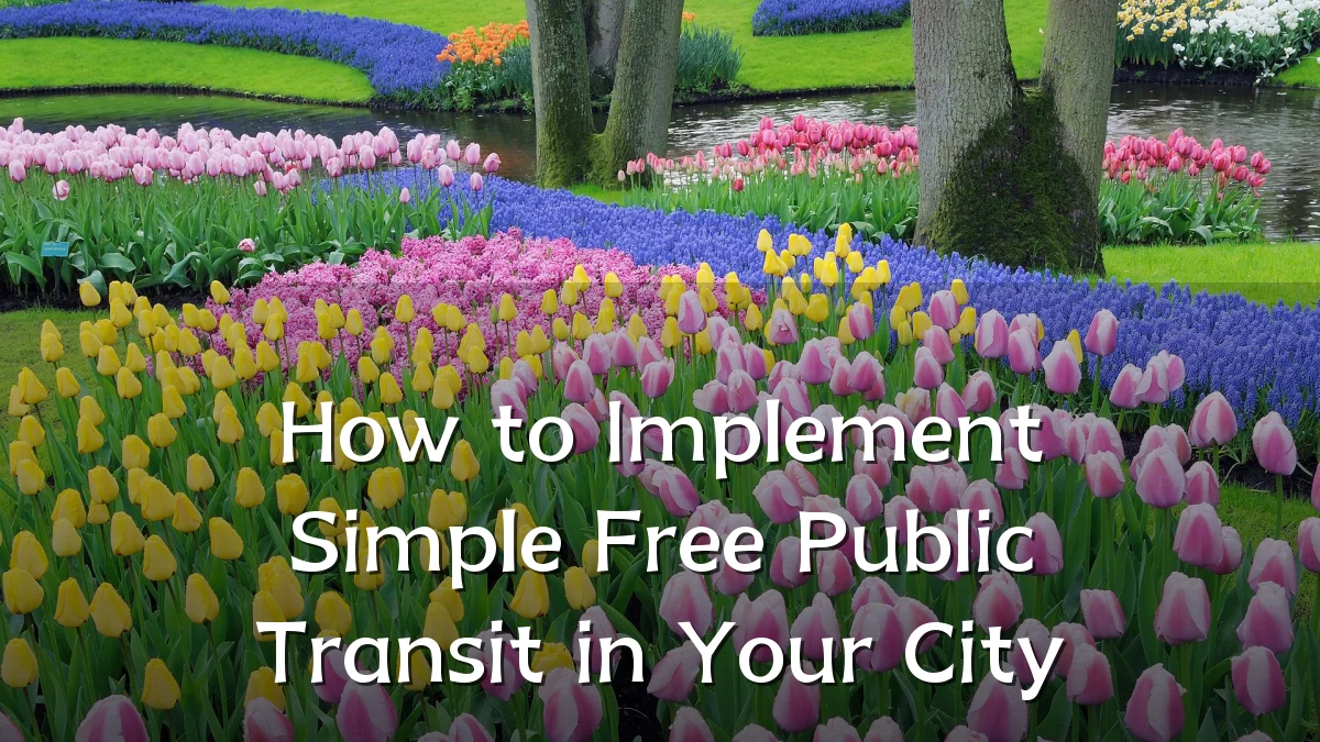 How to Implement Simple Free Public Transit in Your City