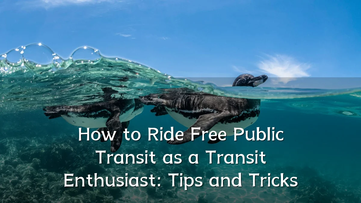 How to Ride Free Public Transit as a Transit Enthusiast: Tips and Tricks