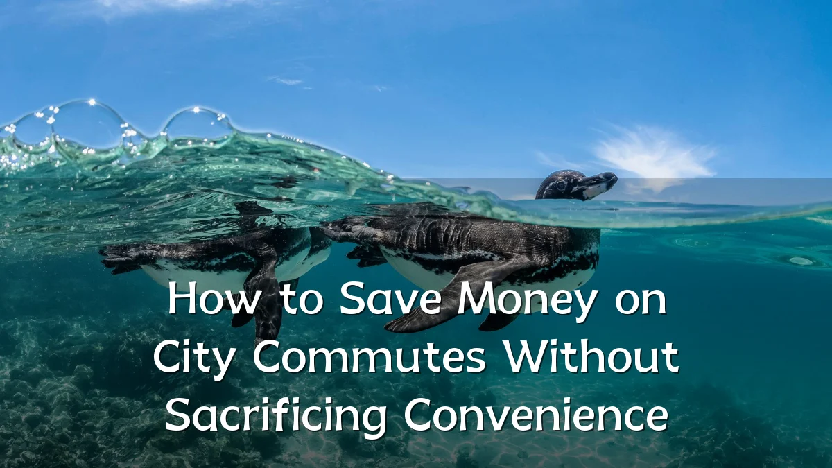 How to Save Money on City Commutes Without Sacrificing Convenience