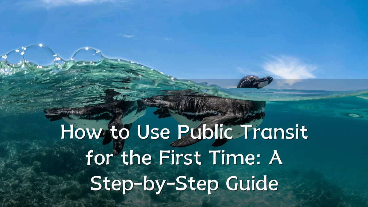 How to Use Public Transit for the First Time: A Step-by-Step Guide