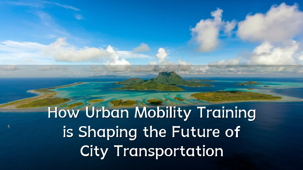 How Urban Mobility Training is Shaping the Future of City Transportation