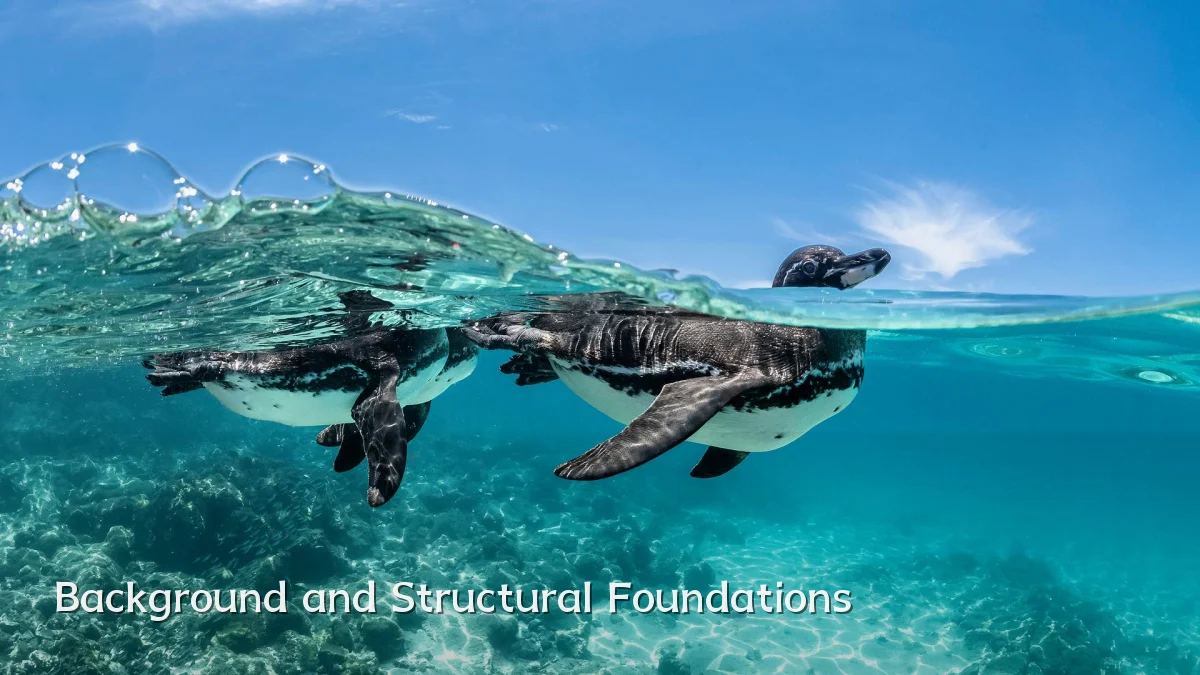 Background and Structural Foundations