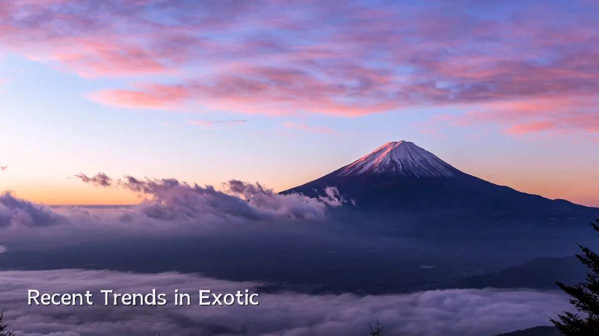 Recent Trends in Exotic