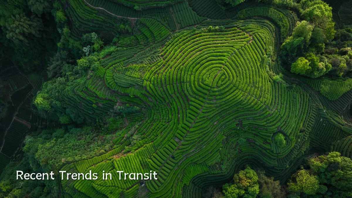 Recent Trends in Transit
