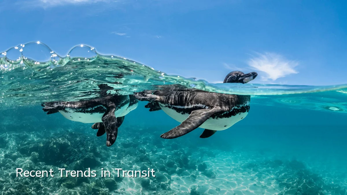 Recent Trends in Transit