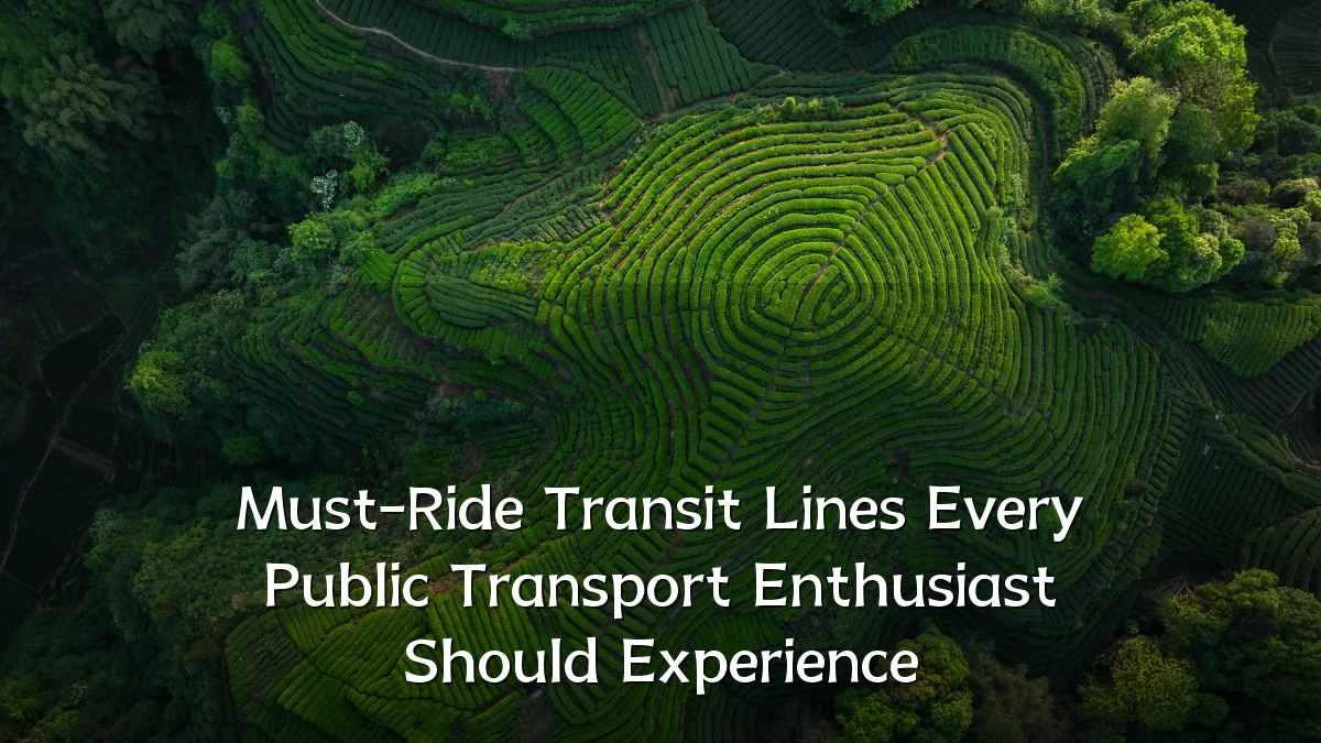 Must-Ride Transit Lines Every Public Transport Enthusiast Should Experience