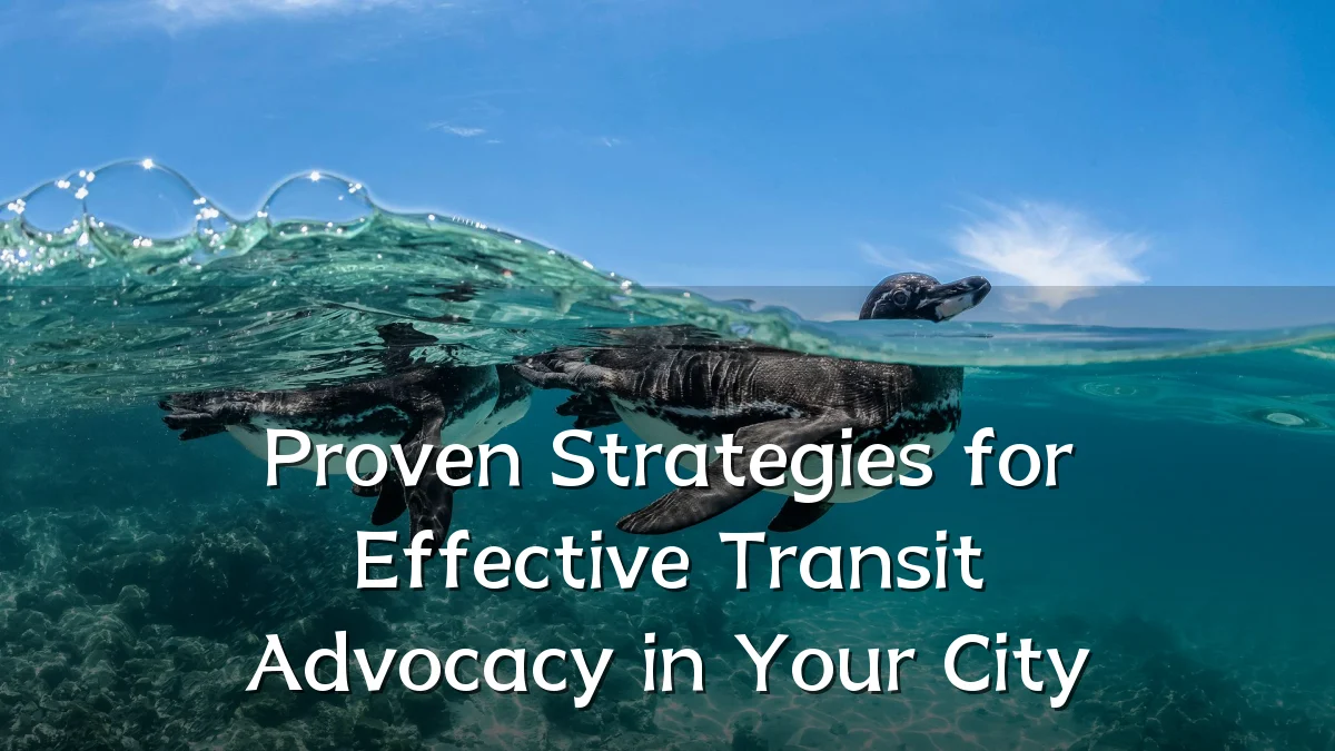Proven Strategies for Effective Transit Advocacy in Your City