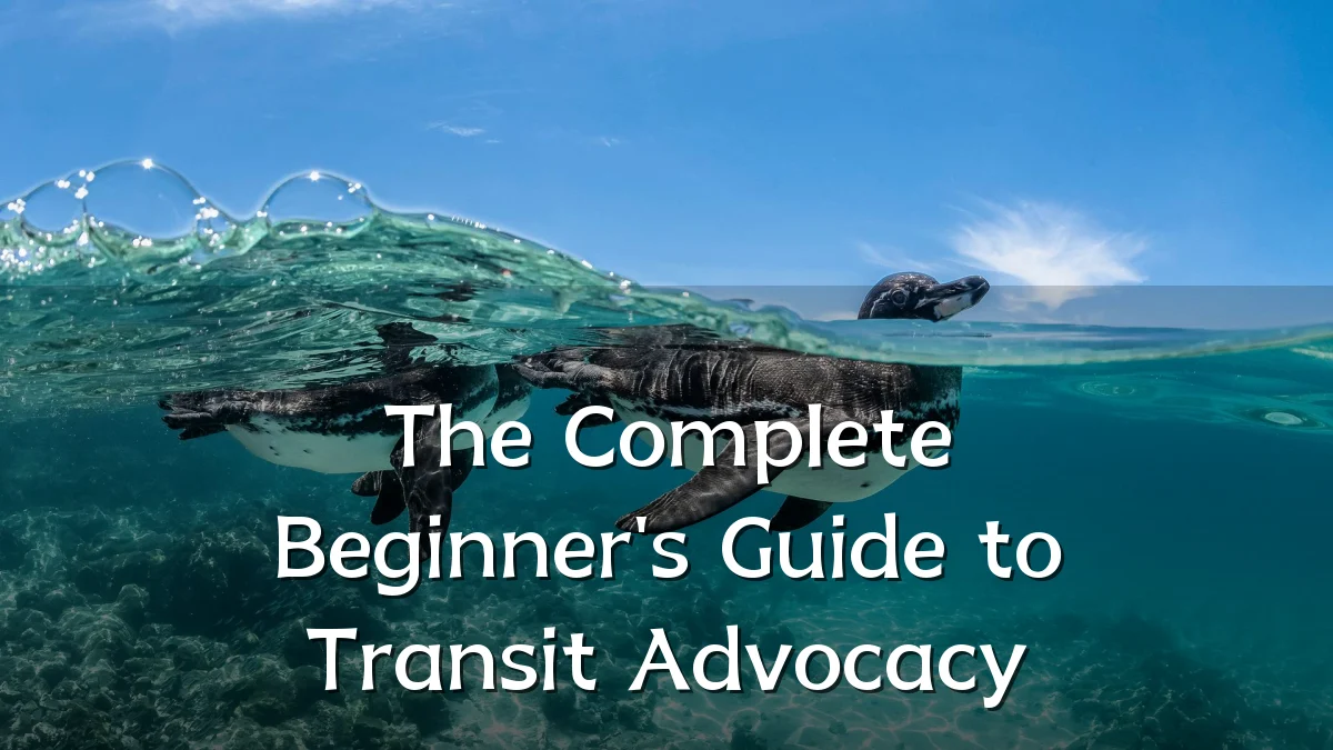 The Complete Beginner's Guide to Transit Advocacy