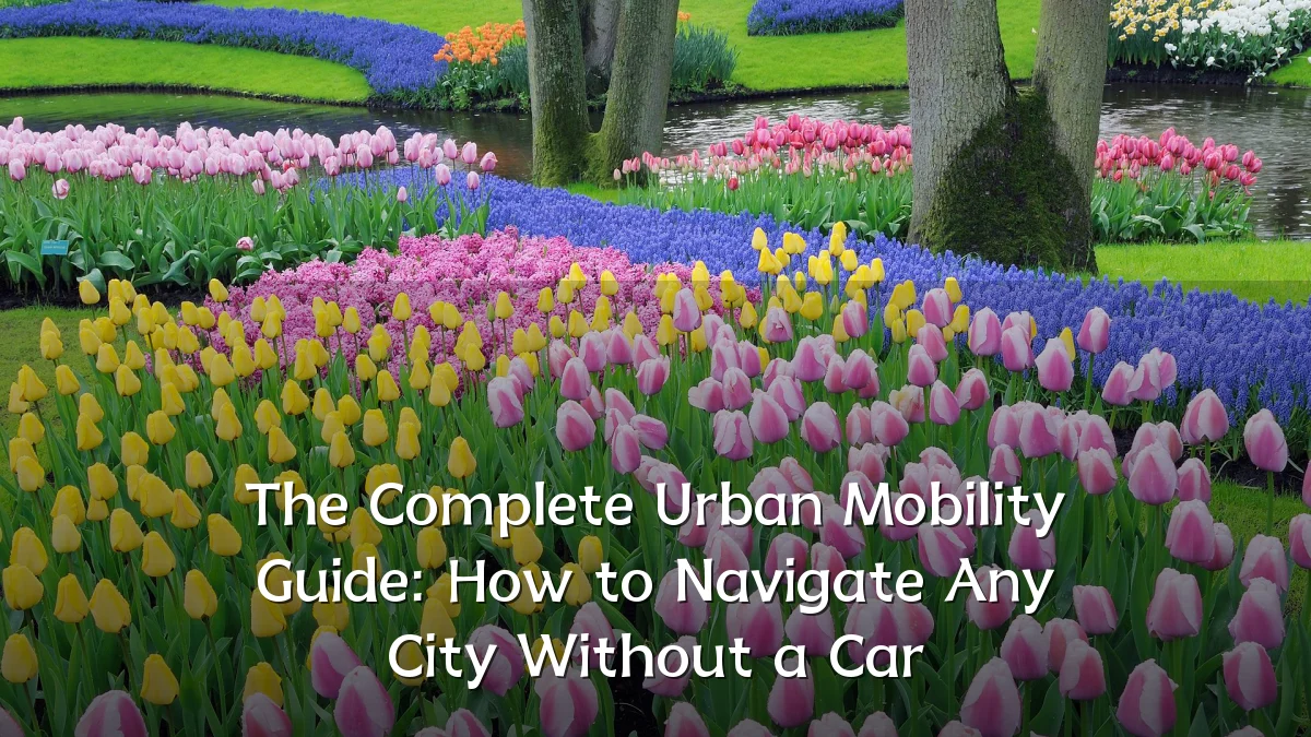 The Complete Urban Mobility Guide: How to Navigate Any City Without a Car