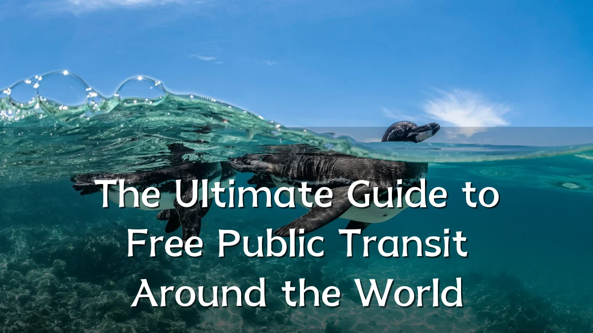 The Ultimate Guide to Free Public Transit Around the World