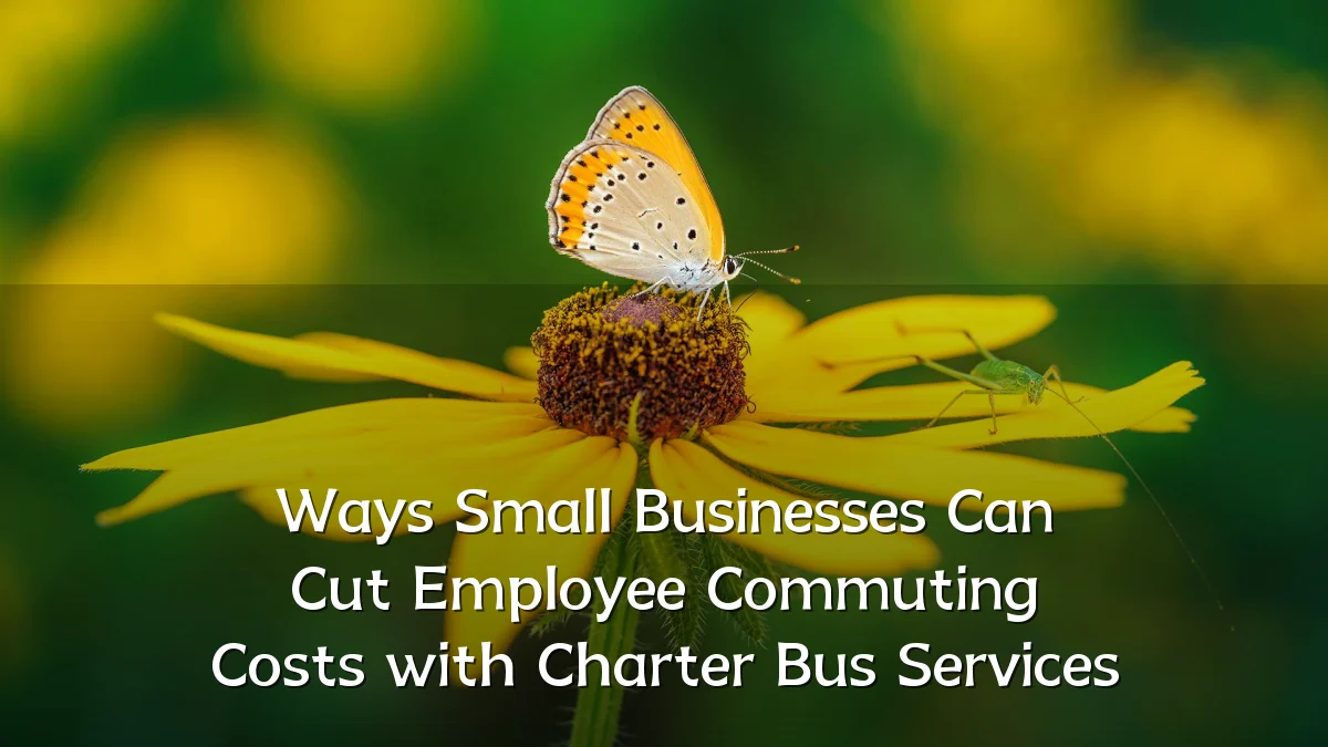 Ways Small Businesses Can Cut Employee Commuting Costs with Charter Bus Services