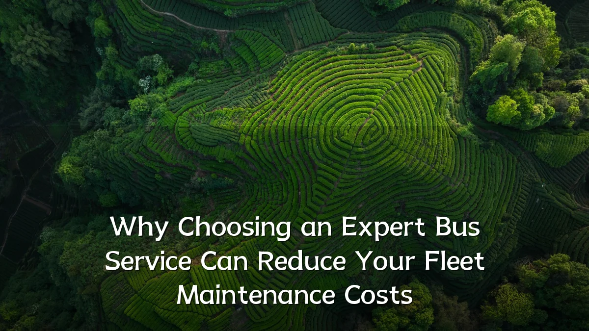 Why Choosing an Expert Bus Service Can Reduce Your Fleet Maintenance Costs