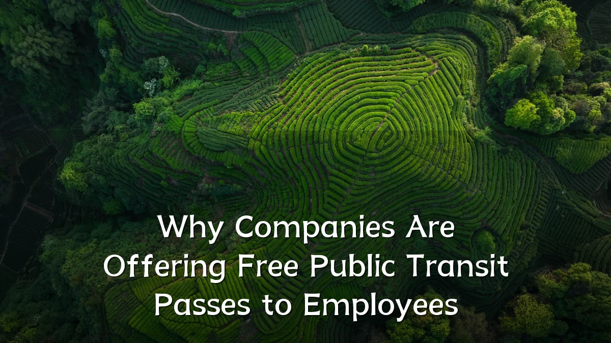 Why Companies Are Offering Free Public Transit Passes to Employees