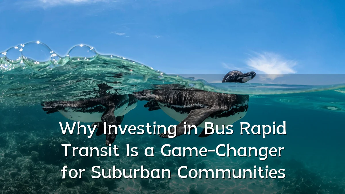 Why Investing in Bus Rapid Transit Is a Game-Changer for Suburban Communities