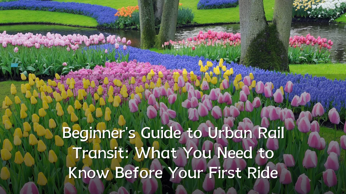 Beginner's Guide to Urban Rail Transit: What You Need to Know Before Your First Ride