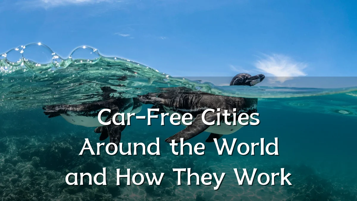 Car-Free Cities Around the World and How They Work