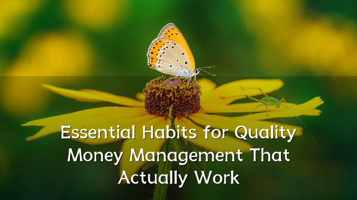 Essential Habits for Quality Money Management That Actually Work