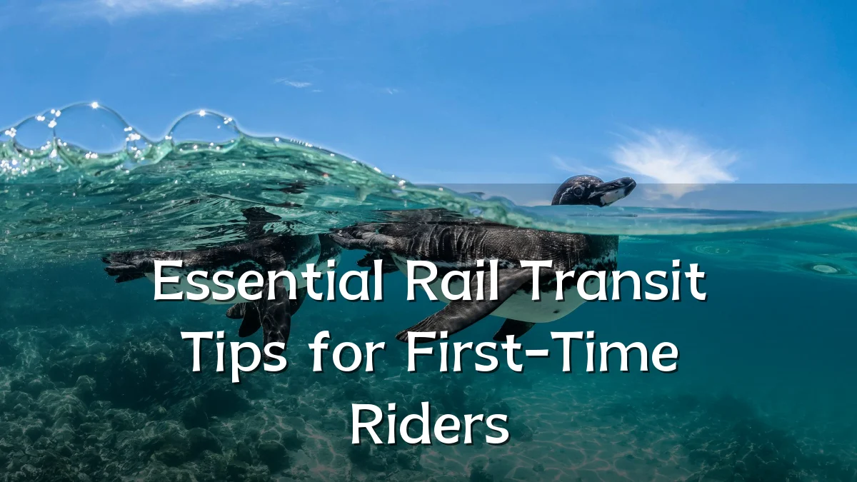 Essential Rail Transit Tips for First-Time Riders