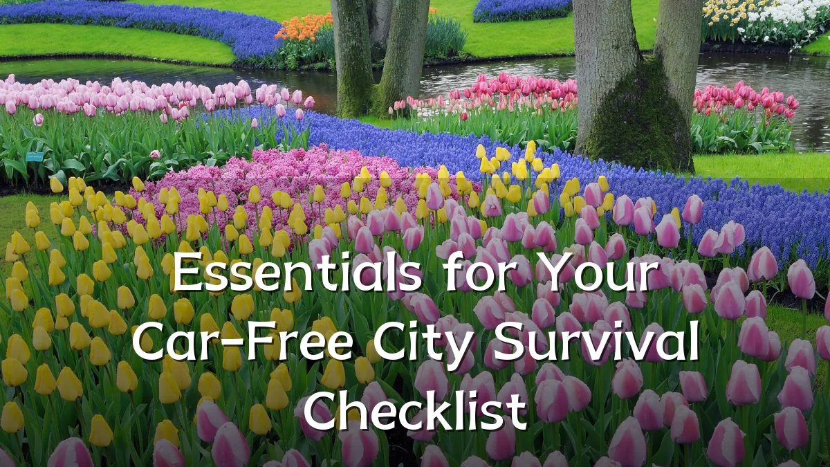 Essentials for Your Car-Free City Survival Checklist