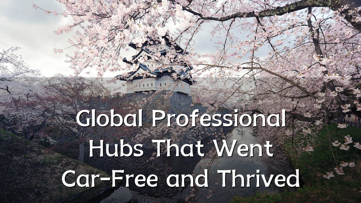 Global Professional Hubs That Went Car-Free and Thrived