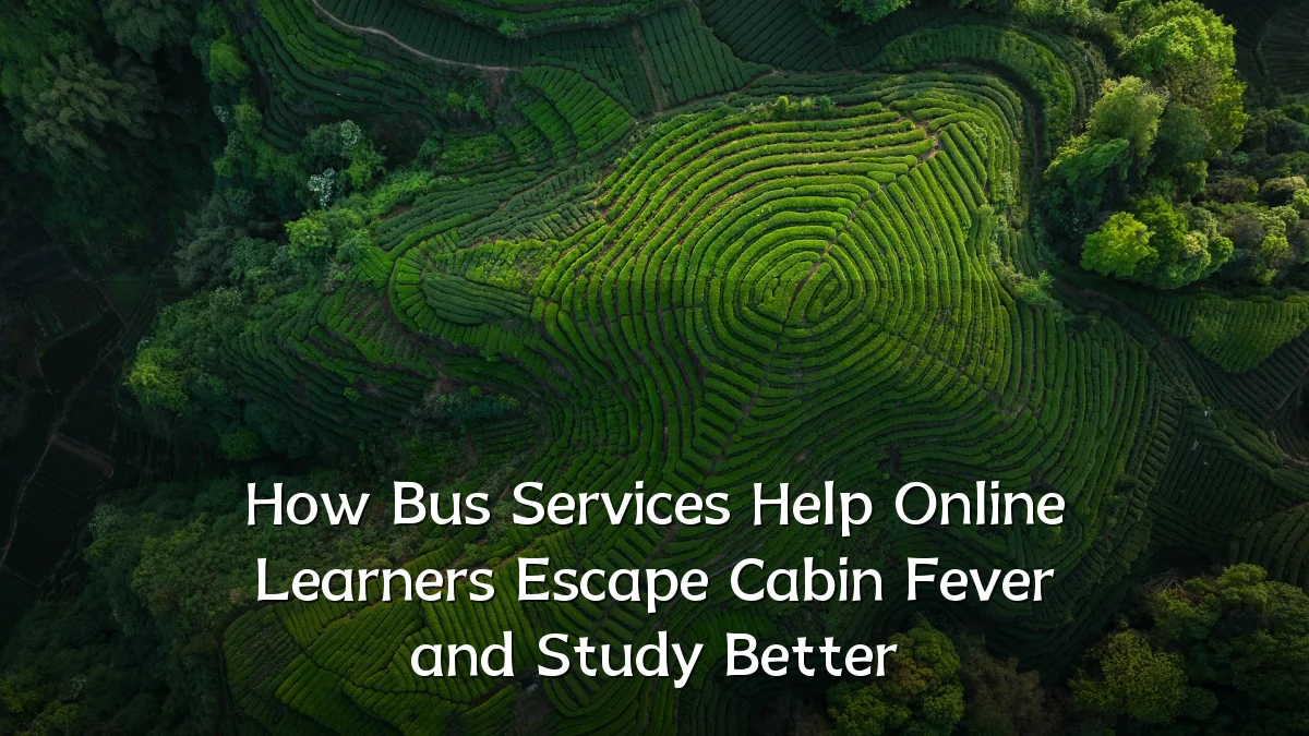 How Bus Services Help Online Learners Escape Cabin Fever and Study Better