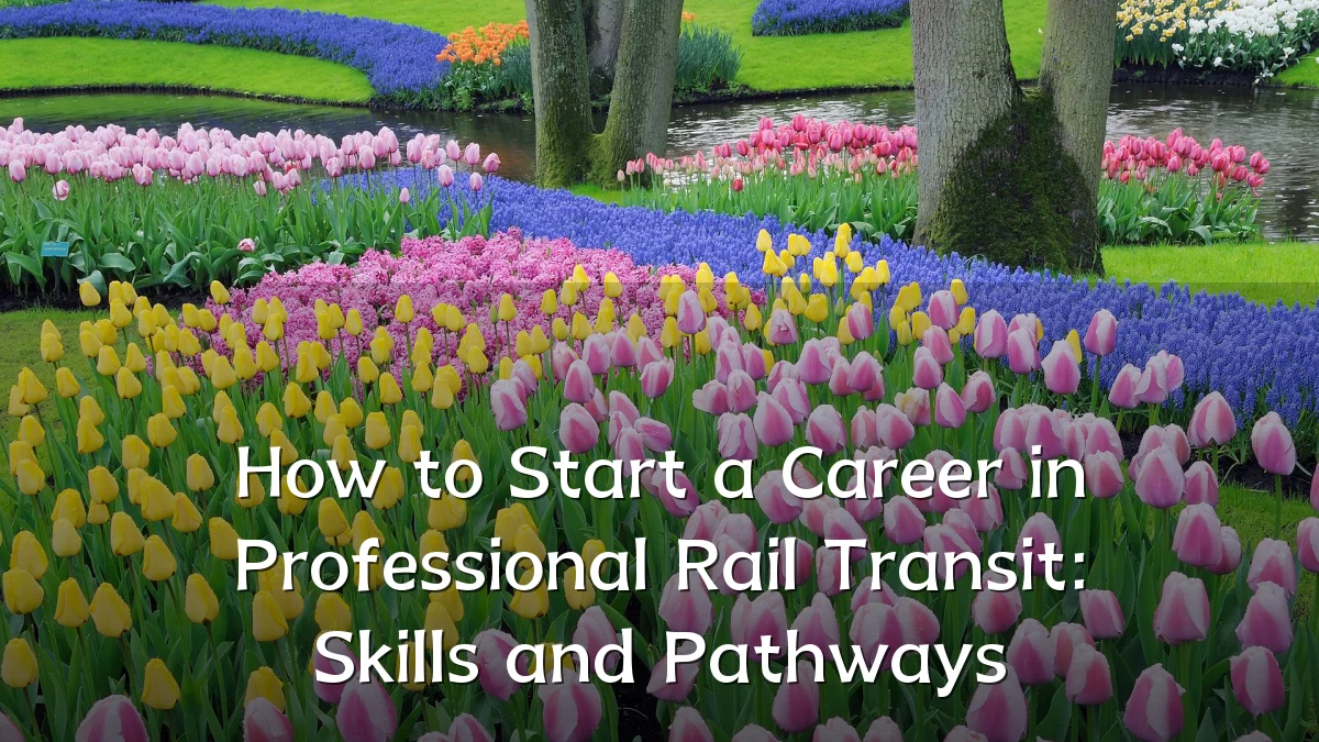 How to Start a Career in Professional Rail Transit: Skills and Pathways