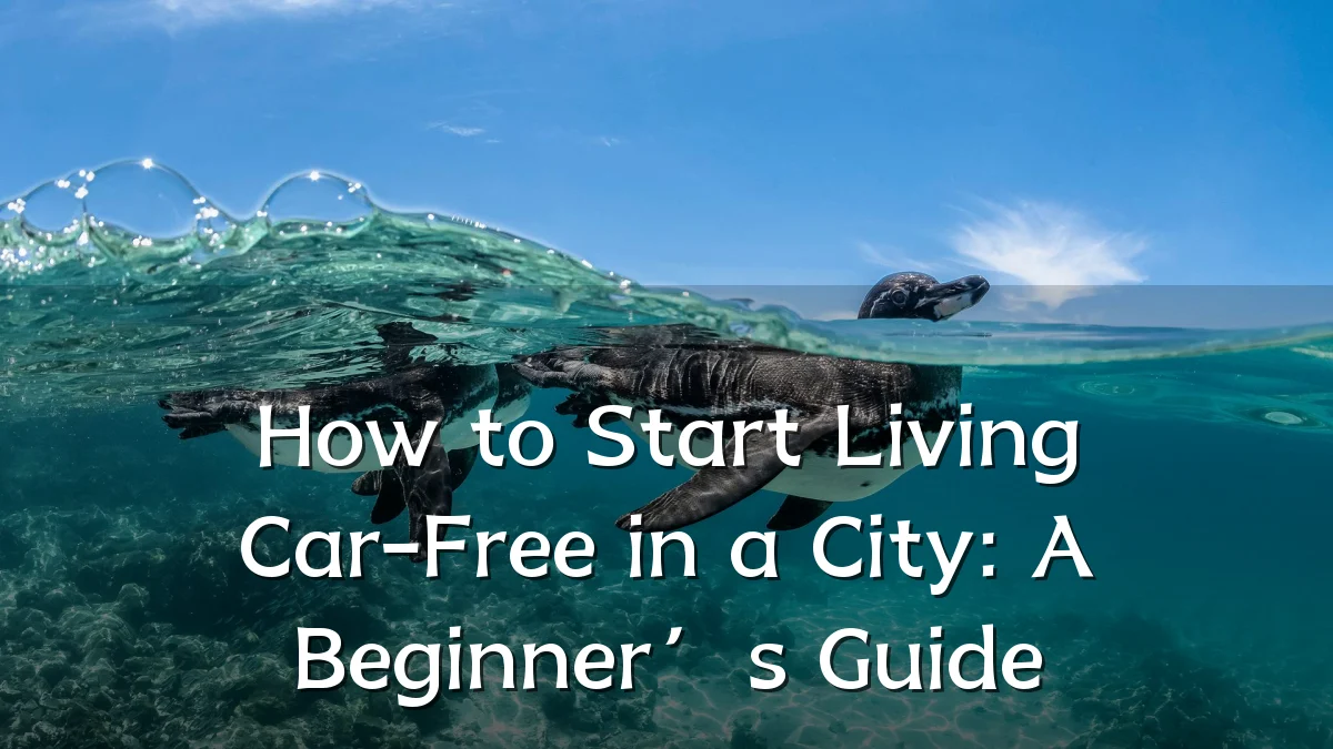 How to Start Living Car-Free in a City: A Beginner’s Guide
