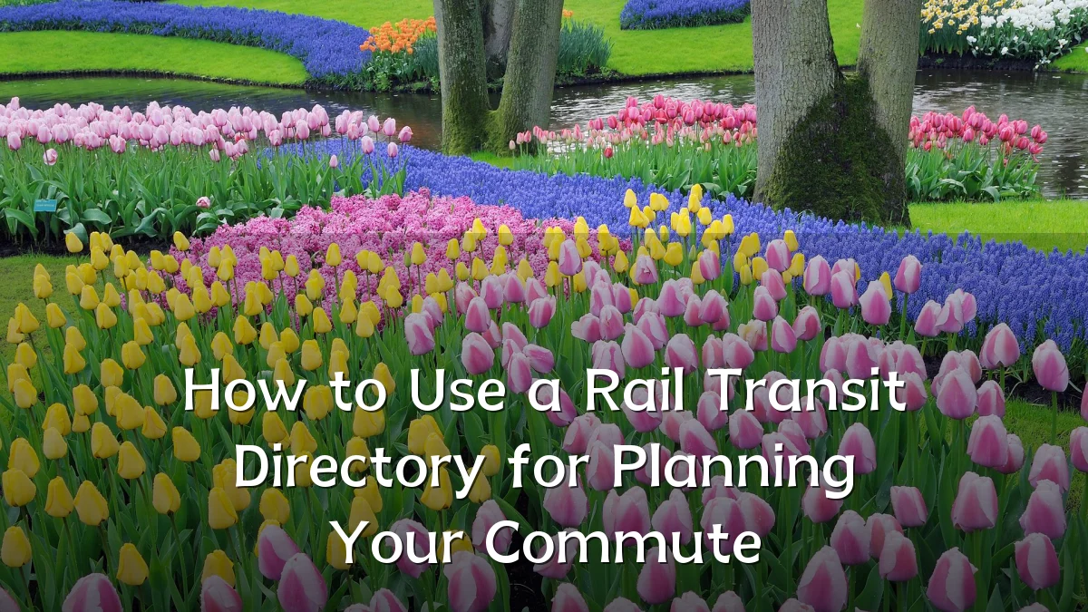 How to Use a Rail Transit Directory for Planning Your Commute