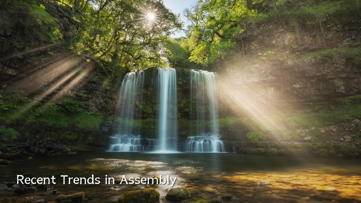 Recent Trends in Assembly