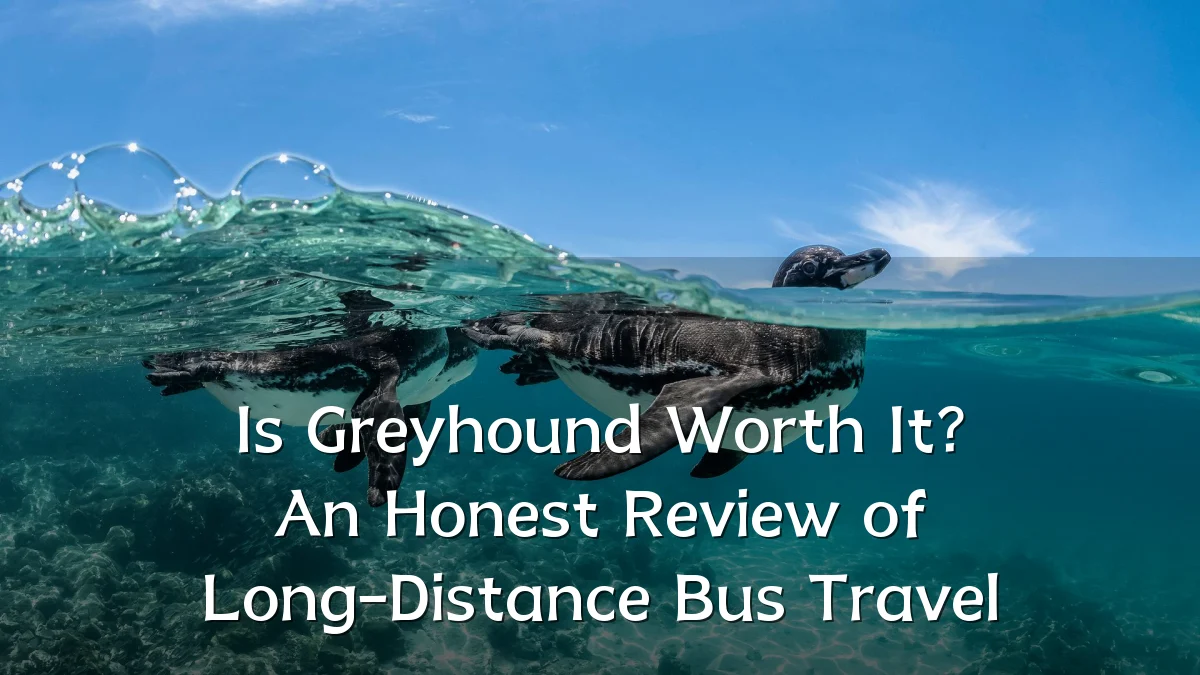 Is Greyhound Worth It? An Honest Review of Long-Distance Bus Travel