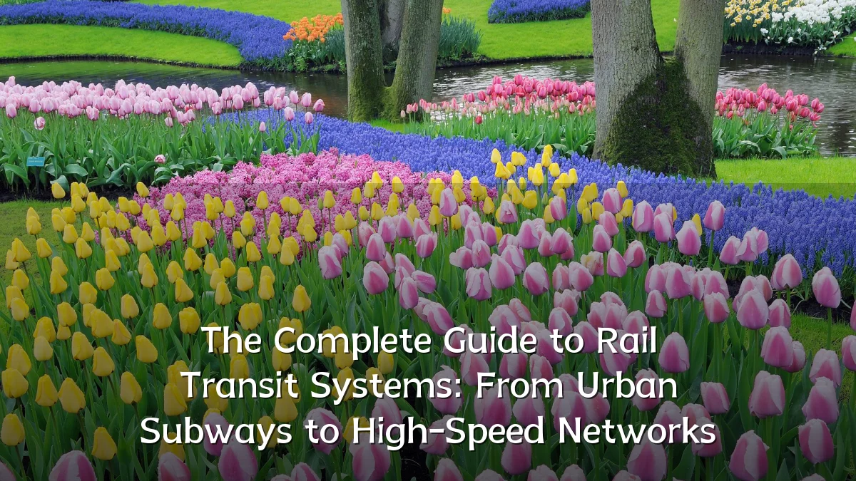 The Complete Guide to Rail Transit Systems: From Urban Subways to High-Speed Networks