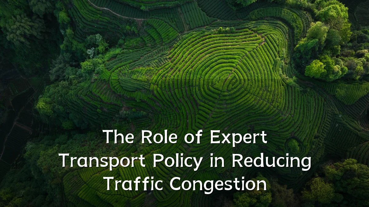 The Role of Expert Transport Policy in Reducing Traffic Congestion