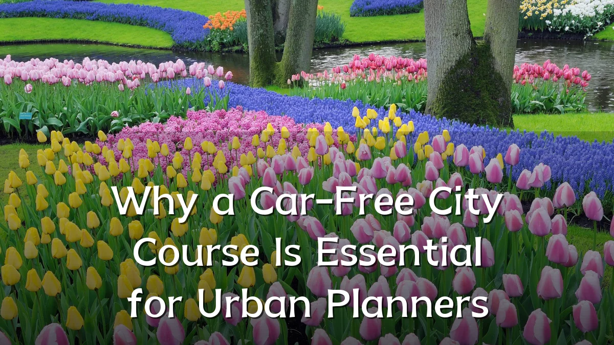 Why a Car-Free City Course Is Essential for Urban Planners