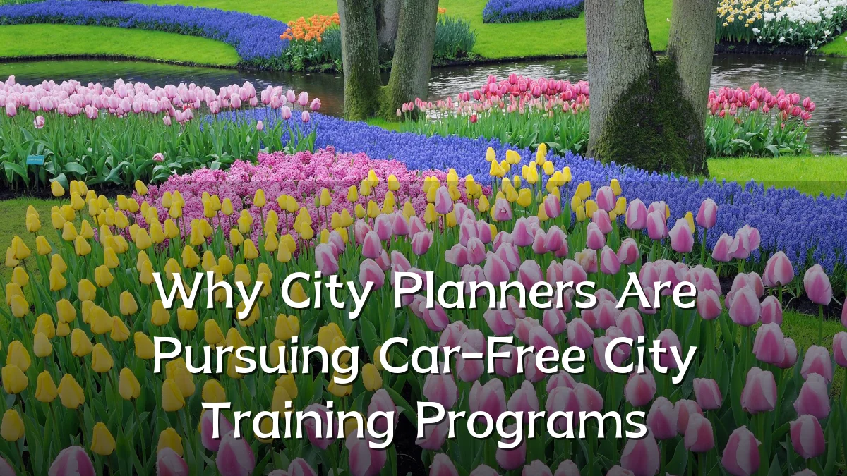 Why City Planners Are Pursuing Car-Free City Training Programs