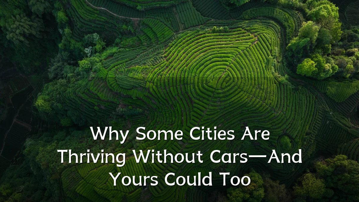 Why Some Cities Are Thriving Without Cars—And Yours Could Too