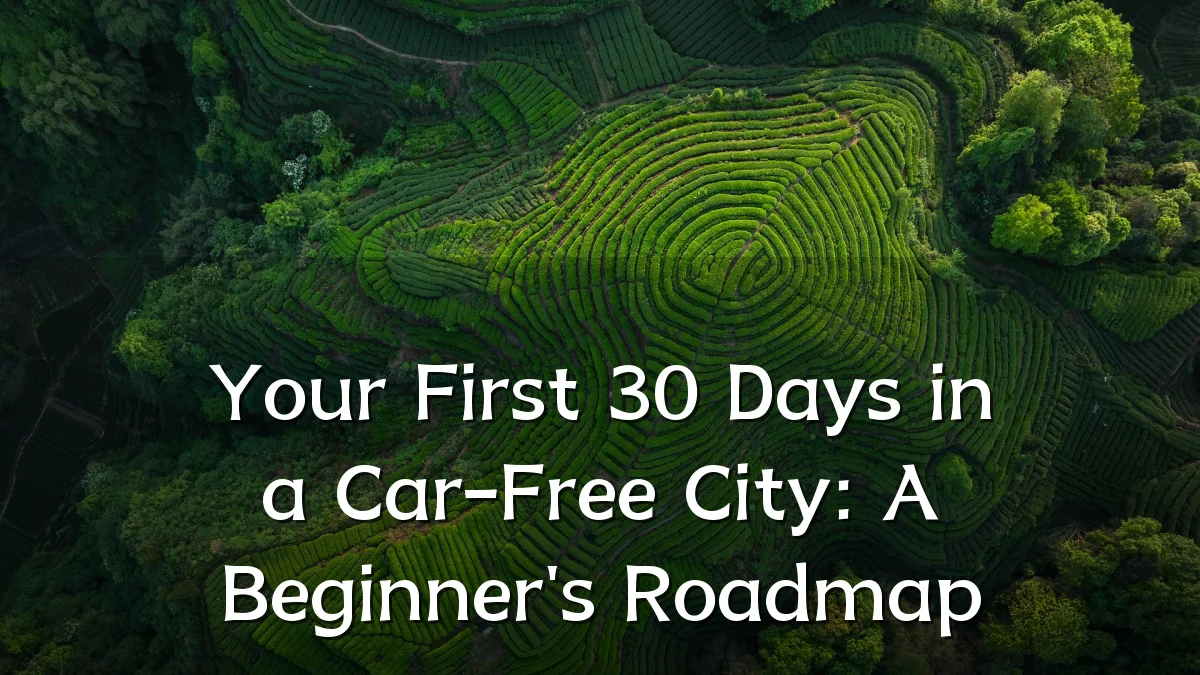 Your First 30 Days in a Car-Free City: A Beginner's Roadmap