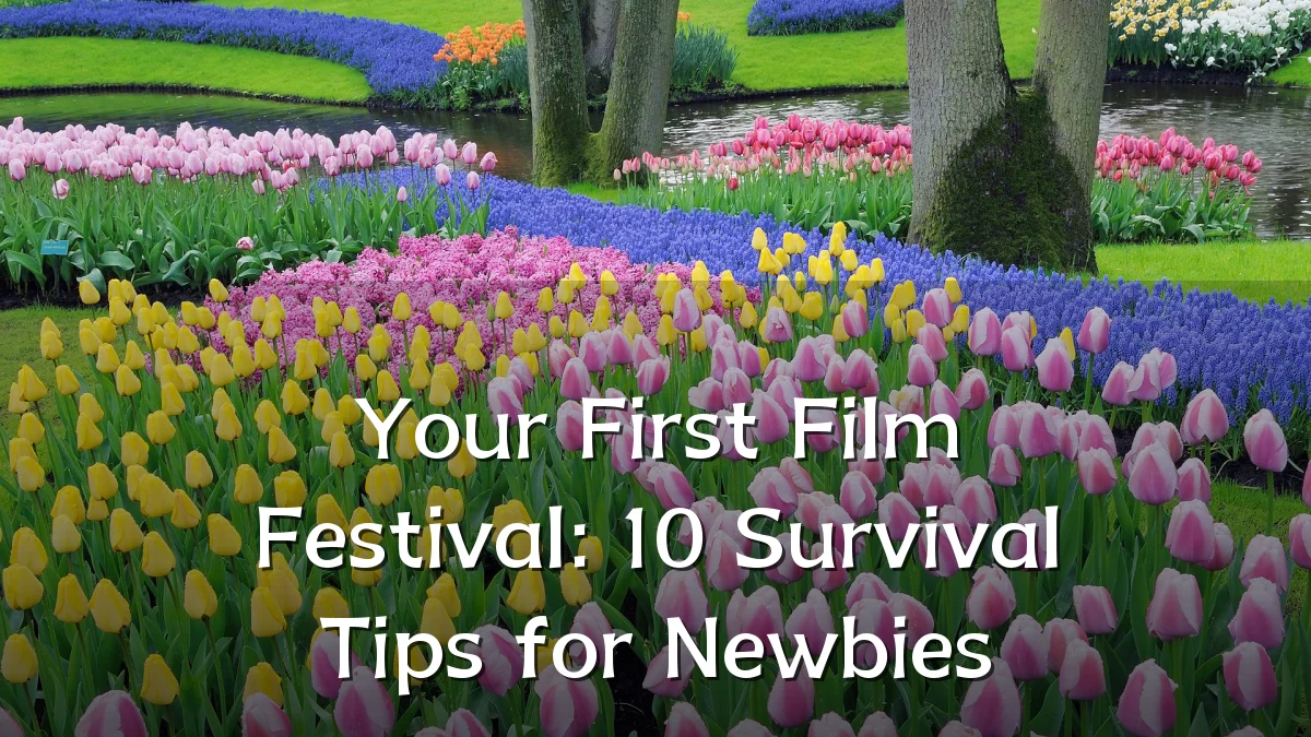 Your First Film Festival: 10 Survival Tips for Newbies