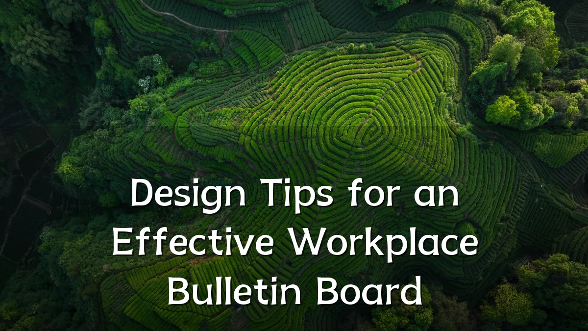 Design Tips for an Effective Workplace Bulletin Board